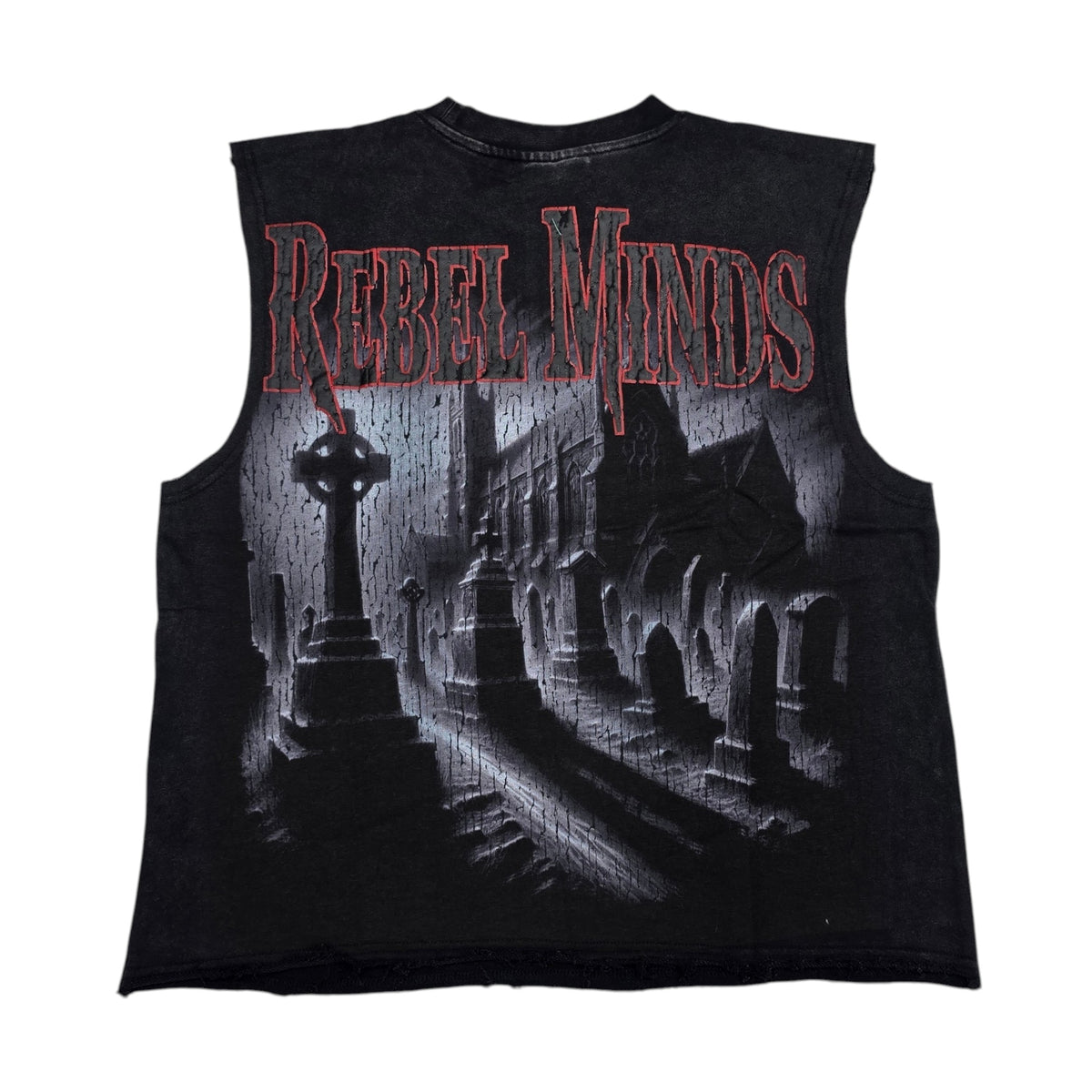 REBEL MINDS MEN'S BORN FROM DUST SLEEVELESS T-SHIRT