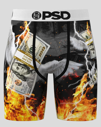 PSD FLY MONEY